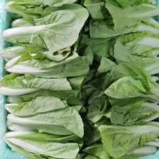 范宏奇蔬菜商行