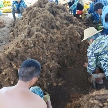 产地直接，红泥毛薯，薯身光滑，个头饱满，泥毛超红