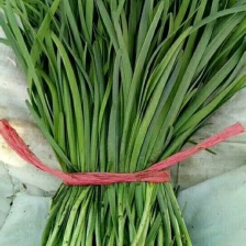 基地精品小二刀大量供应