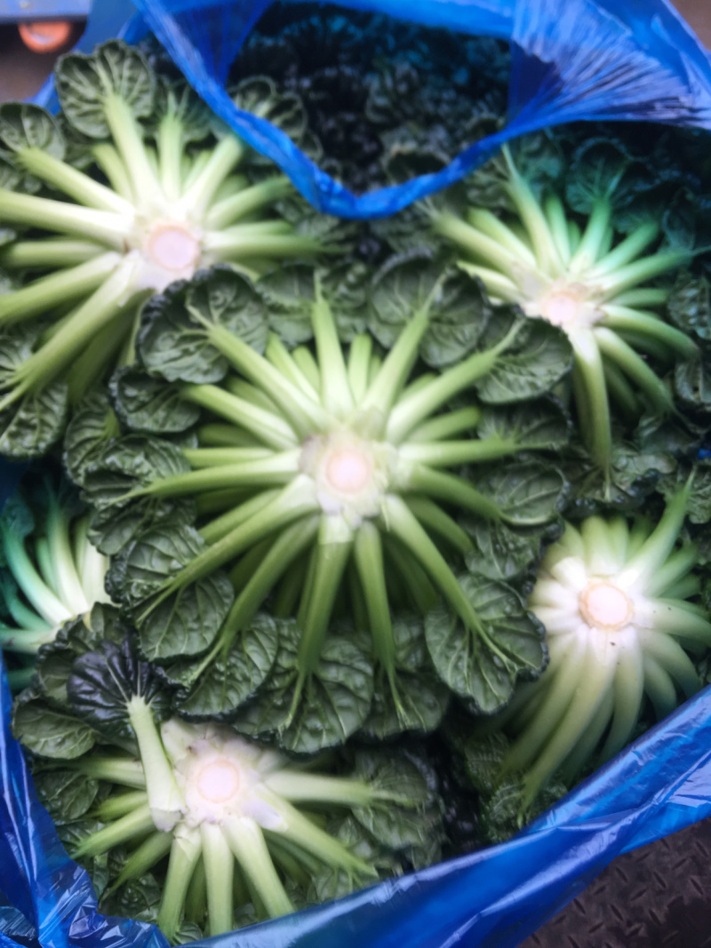 黄心菜支持周边城市送货，支持全国发货