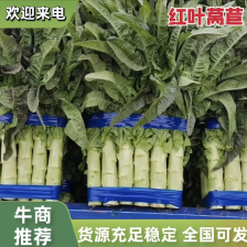 兰陵县德胜蔬菜代收中心
