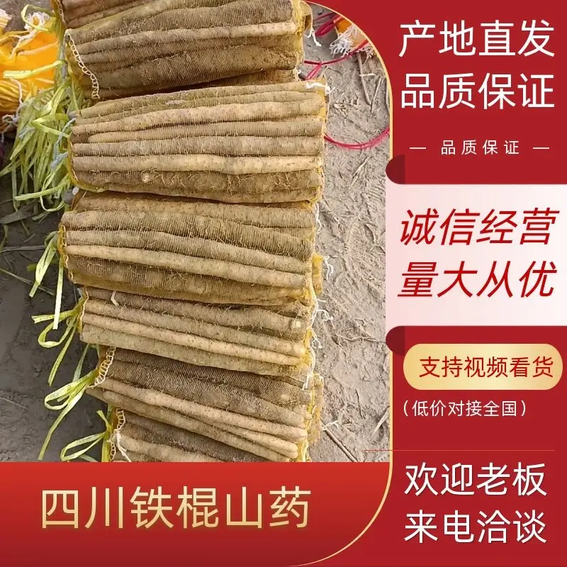 【山药】精品铁棍山药 大量上市 口感香糯 品质优美