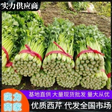 【精品】山东毛芹实力供货 对接全国电商市场商超