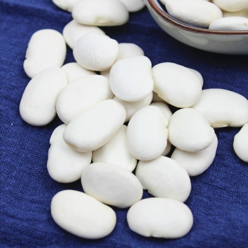 新大白芸豆，白扁豆，大白扣，手选大颗粒