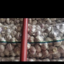 [牛]扒皮大蒜白皮蒜葱蒜类 白皮蒜 河南周口大蒜