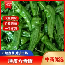 基地薄皮大青椒，基地直供承接全国各地批发商零售商质量保证