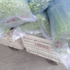 寿光韭菜，超市，酒店，烧烤店，火烧长期发货全国，欢迎咨询