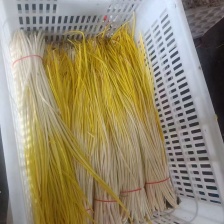 蒜黄精品蒜黄对接电商市场商超欢迎订购可代发货