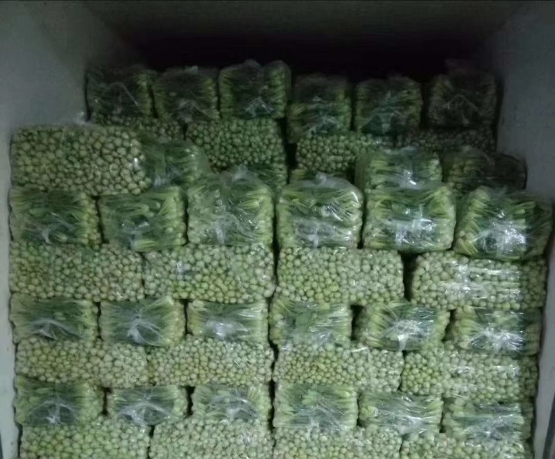 精品青菜，长期供应，保证质量。全国发货