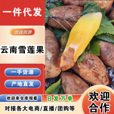 雪莲果 高山红土黄心市场精品社区团购 现挖现发 产地直供