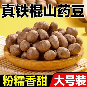 包邮）新鲜大号颗粒铁棍山药豆农家淮怀山药蛋糖葫芦山药豆