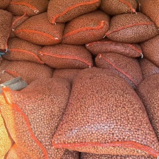 包邮）新鲜大号颗粒铁棍山药豆农家淮怀山药蛋糖葫芦山药豆