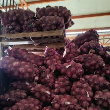 黄洋葱基地货，颜色黄，可分拣，价格便宜，质量保证