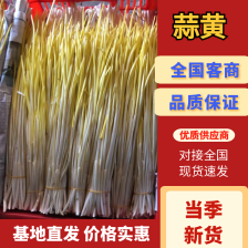 蒜黄山东蒜黄干黄产地现割，40厘米以上对接市场电商商超可