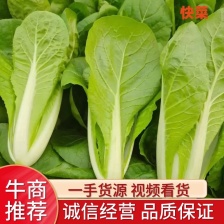 安徽太和县产地，精品大棚快菜，上海青，小油菜，质量很好