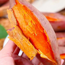 精品人参薯大量供货 现挖现发 支持视