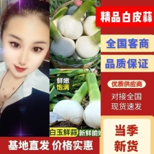 山东大蒜，新鲜大蒜，白皮蒜，冷库鲜蒜，对接各大电商平台