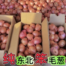 产地新鲜紫红皮现挖洋葱头圆葱农家自种葱头批发整箱批发价