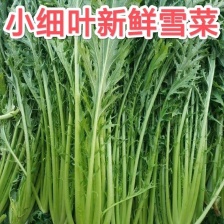 天然新鲜雪里红源头供应超高性价比