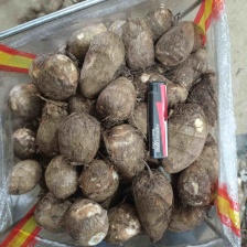 山东芋头芋头8520/毛芋头（一手货源）实力代办货发全国