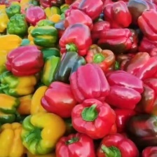 【优选】河南商丘辣椒小米椒-产地直发-大量供应-可看货