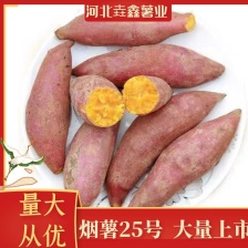 红薯 龙薯9号 商品薯 软糯香甜 一