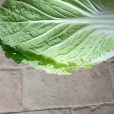 【黄心白菜】陕西白菜 大白菜 大量供应 产地直发 视频看货