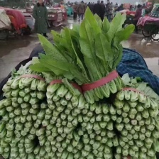 精品好油麦，量大质优，根白，叶片展，鲜绿