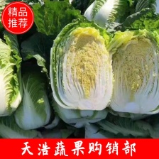 周口白菜 秦白 鸡腿 小包 大量供应 发市场 入库 电商