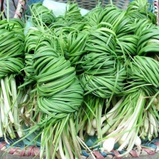 湖南野胡葱批发代办代收