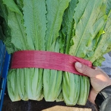 弓记蔬菜购销中心