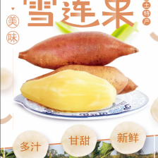 云南天山雪莲果基地直供供应全国批发市场档口专业一件代发