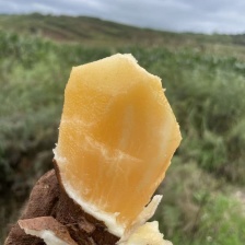 云南天山雪莲果基地直供供应全国批发市场档口专业一件代发