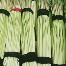 新鲜蒜薹，农家自产，营养丰富，口感鲜美，**特惠！