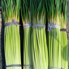 广晗农贸有限公司