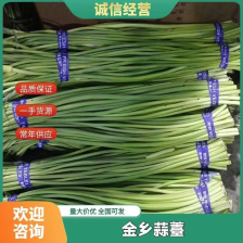 新鲜蒜薹，农家自产，口感鲜美，营养丰富，**特惠！