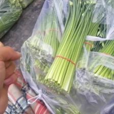 云南韭花韭苔新鲜蔬菜批发一手货源产地直发