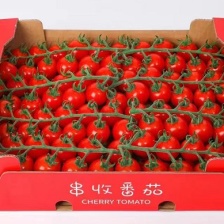 西红柿 聊城硬粉西红柿 商超电商社团配货 全国发货