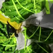 山东芜湖椒大量供应中对接市场档口商超一条龙服务欢迎来电