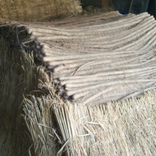 西施山药，山药中的西施欢迎你，为客户之所想为客户之所需！