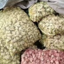 河北省万亩白皮洋姜等你来，菊芋