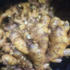 山东大姜产地质量，高中低价格都有，产