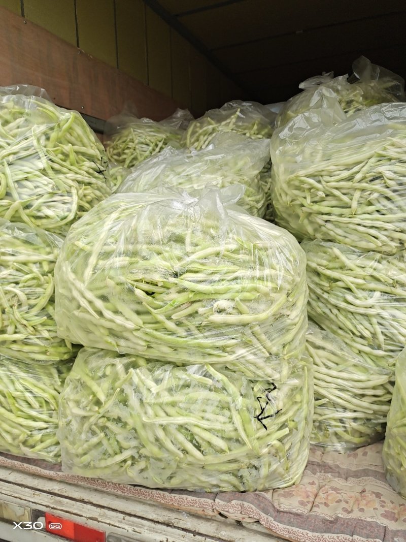 平度市崔家集镇精品芸豆开始大量上市中欢迎采购