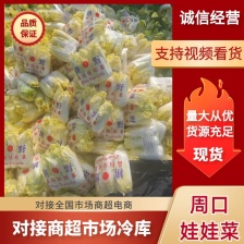 大娃娃菜  小娃娃菜 产地看货论价  保质保量 欢迎订购