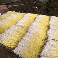 精品韭菜，货源充足30-40公分，价格优惠，基地货源，