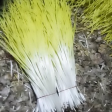 【精选】山东蒜黄大量供应 产地直发 质量保证 对接商超