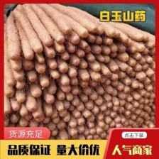 白玉山药【实力山药基地】诚信经营，客户至上，共同发展！