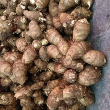 牛奶芋头 对接全国各大电商平台大型批发市场欢迎咨询！