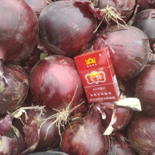 甘肃红皮洋葱丨精品洋葱丨产地一手货源丨对接全国加工厂、市