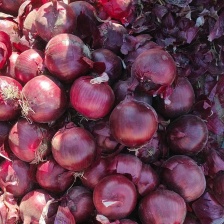 朱泽祥蔬菜代收处